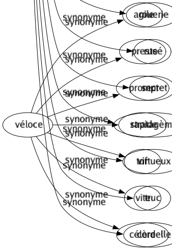 Synonyme de Ficelle : Artifice Astuce Attaché Carotte Corde Cordelette Fil Finesse Futé Galon Habileté Lien Madré Malice Malin Matois Narquois Passe-passe Procédé Recette Retors Roublard Roué Rouerie Rusé Secret Stratagème Tortueux Truc Cordelle 