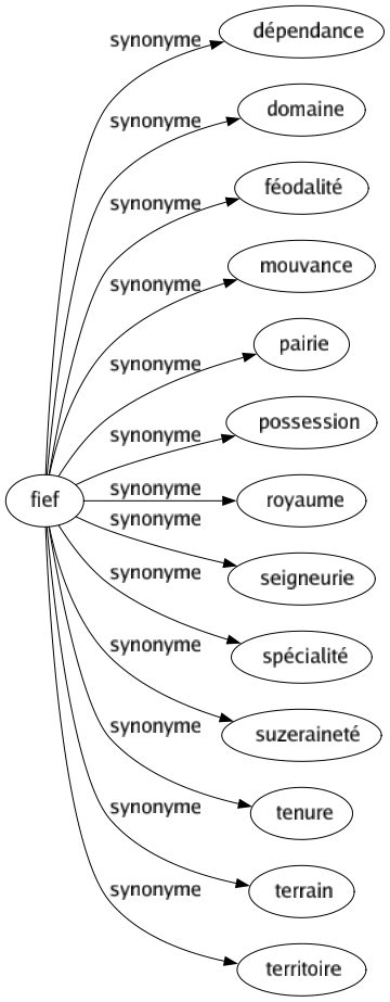 Synonyme de Fief : Dépendance Domaine Féodalité Mouvance Pairie Possession Royaume Seigneurie Spécialité Suzeraineté Tenure Terrain Territoire 