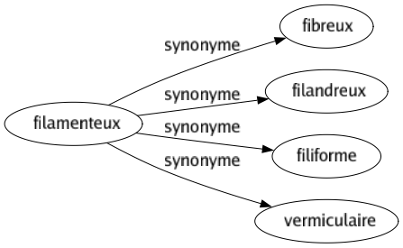 Synonyme de Filamenteux : Fibreux Filandreux Filiforme Vermiculaire 