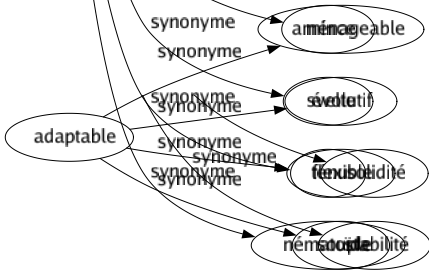Synonyme de Filiforme : Allongé Délié Effilé Élancé Filamenteux Filant Fin Fuselé Gracile Grêlé Longiligne Maigre Mince Svelte Ténu Nématoïde 