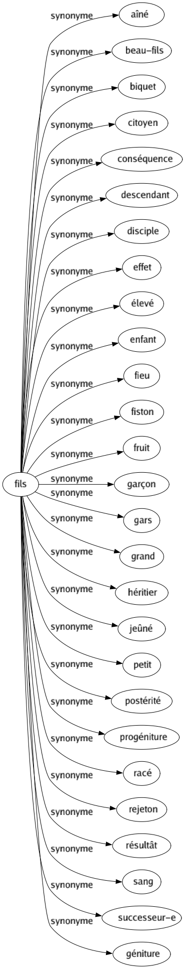 Synonyme de Fils : Aîné Beau-fils Biquet Citoyen Conséquence Descendant Disciple Effet Élevé Enfant Fieu Fiston Fruit Garçon Gars Grand Héritier Jeûné Petit Postérité Progéniture Racé Rejeton Résultât Sang Successeur-e Géniture 