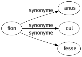 Synonyme de Fion : Anus Cul Fesse 