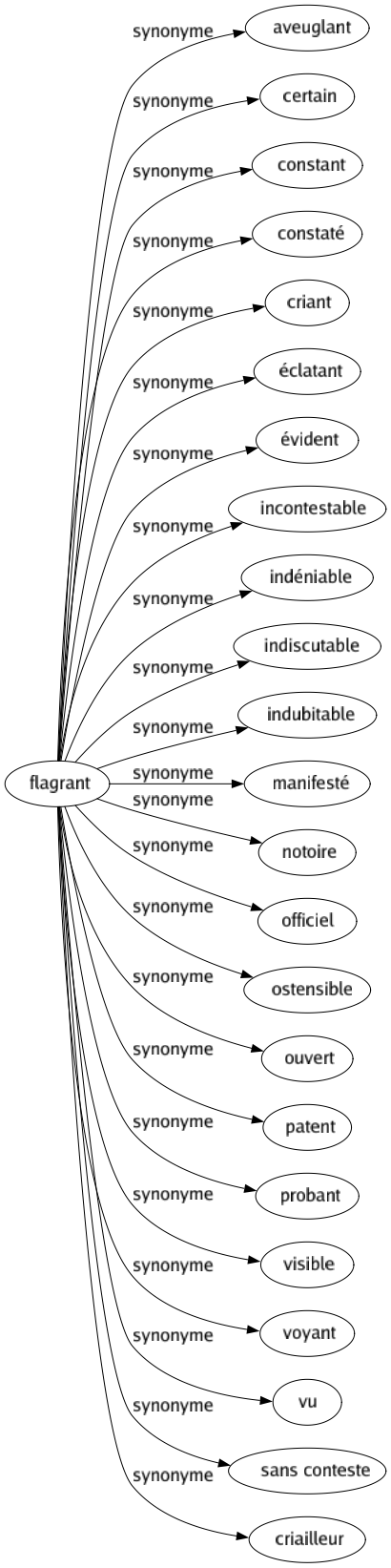 Synonyme de Flagrant : Aveuglant Certain Constant Constaté Criant Éclatant Évident Incontestable Indéniable Indiscutable Indubitable Manifesté Notoire Officiel Ostensible Ouvert Patent Probant Visible Voyant Vu Sans conteste Criailleur 