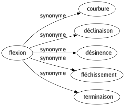Synonyme de Flexion : Courbure Déclinaison Désinence Fléchissement Terminaison 