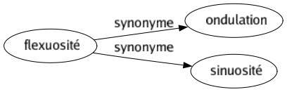 Synonyme de Flexuosité : Ondulation Sinuosité 