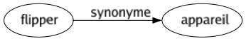 Synonyme de Flipper : Appareil 