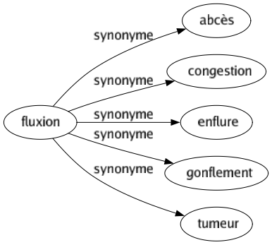 Synonyme de Fluxion : Abcès Congestion Enflure Gonflement Tumeur 