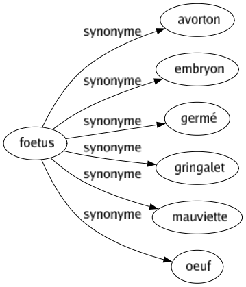 Synonyme de Foetus : Avorton Embryon Germé Gringalet Mauviette Oeuf 