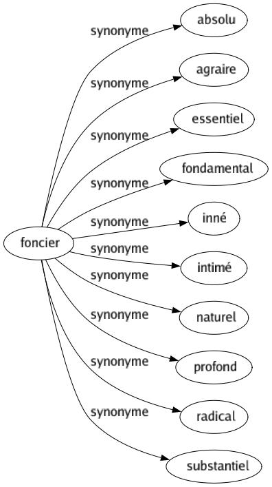 Synonyme de Foncier : Absolu Agraire Essentiel Fondamental Inné Intimé Naturel Profond Radical Substantiel 