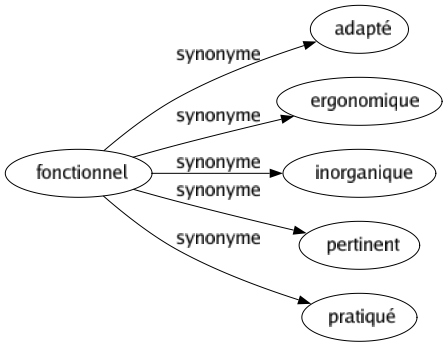 Synonyme de Fonctionnel : Adapté Ergonomique Inorganique Pertinent Pratiqué 