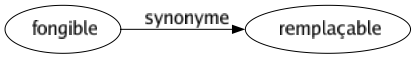 Synonyme de Fongible : Remplaçable 