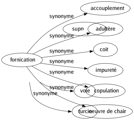 Synonyme de Fornication : Accouplement Adultère Coït Impureté Copulation Oeuvre de chair 
