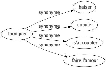 Synonyme de Forniquer : Baiser Copuler S'accoupler Faire l'amour 