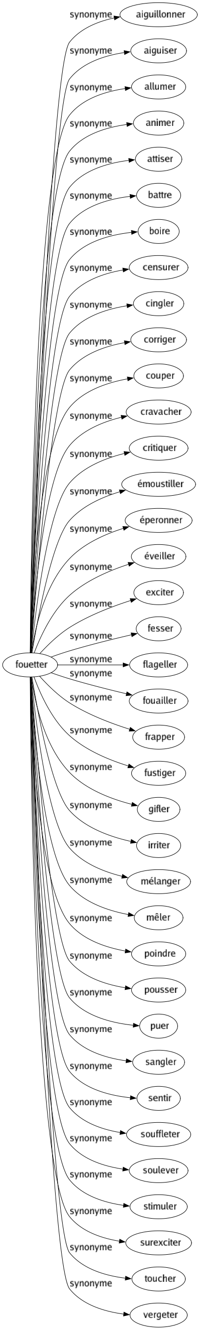 Synonyme de Fouetter : Aiguillonner Aiguiser Allumer Animer Attiser Battre Boire Censurer Cingler Corriger Couper Cravacher Critiquer Émoustiller Éperonner Éveiller Exciter Fesser Flageller Fouailler Frapper Fustiger Gifler Irriter Mélanger Mêler Poindre Pousser Puer Sangler Sentir Souffleter Soulever Stimuler Surexciter Toucher Vergeter 