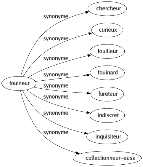 Synonyme de Fouineur : Chercheur Curieux Fouilleur Fouinard Fureteur Indiscret Inquisiteur Collectionneur-euse 