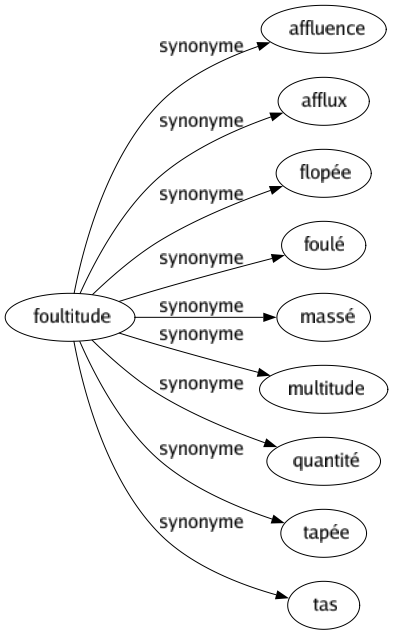 Synonyme de Foultitude : Affluence Afflux Flopée Foulé Massé Multitude Quantité Tapée Tas 
