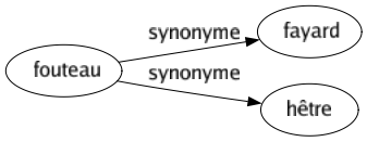 Synonyme de Fouteau : Fayard Hêtre 