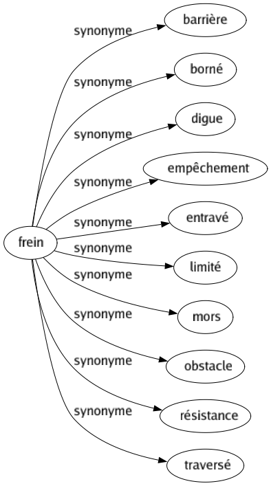 Synonyme de Frein : Barrière Borné Digue Empêchement Entravé Limité Mors Obstacle Résistance Traversé 