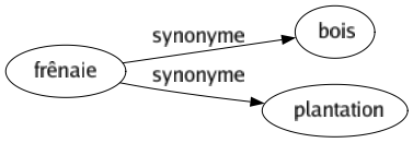 Synonyme de Frênaie : Bois Plantation 