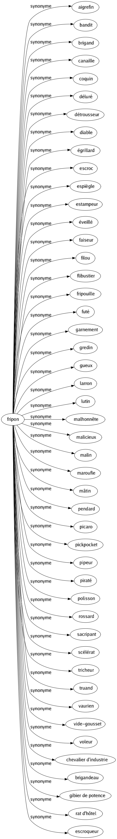 Synonyme de Fripon : Aigrefin Bandit Brigand Canaille Coquin Déluré Détrousseur Diable Égrillard Escroc Espiègle Estampeur Éveillé Faiseur Filou Flibustier Fripouille Futé Garnement Gredin Gueux Larron Lutin Malhonnête Malicieux Malin Maroufle Mâtin Pendard Picaro Pickpocket Pipeur Piraté Polisson Rossard Sacripant Scélérat Tricheur Truand Vaurien Vide-gousset Voleur Chevalier d'industrie Brigandeau Gibier de potence Rat d'hôtel Escroqueur 