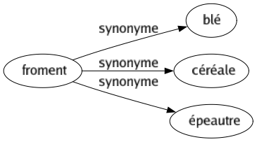 Synonyme de Froment : Blé Céréale Épeautre 