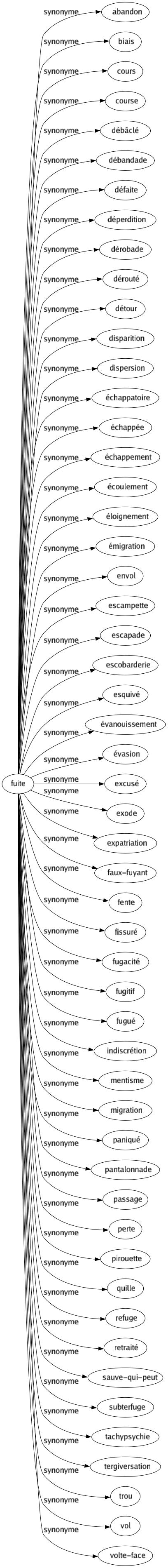 Synonyme de Fuite : Abandon Biais Cours Course Débâclé Débandade Défaite Déperdition Dérobade Dérouté Détour Disparition Dispersion Échappatoire Échappée Échappement Écoulement Éloignement Émigration Envol Escampette Escapade Escobarderie Esquivé Évanouissement Évasion Excusé Exode Expatriation Faux-fuyant Fente Fissuré Fugacité Fugitif Fugué Indiscrétion Mentisme Migration Paniqué Pantalonnade Passage Perte Pirouette Quille Refuge Retraité Sauve-qui-peut Subterfuge Tachypsychie Tergiversation Trou Vol Volte-face 
