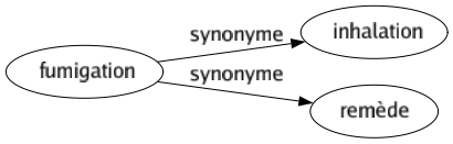 Synonyme de Fumigation : Inhalation Remède 