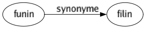 Synonyme de Funin : Filin 