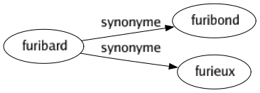 Synonyme de Furibard : Furibond Furieux 
