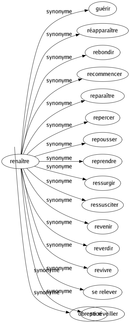 Synonyme de Furtif : Caché Clandestin Discret Dissimulé Errant Fugace Fugitif Glissant Hâtif Insinuant Obscur Occulté Rapide Secret Subreptice À la dérobée Obreptice 