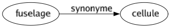 Synonyme de Fuselage : Cellule 