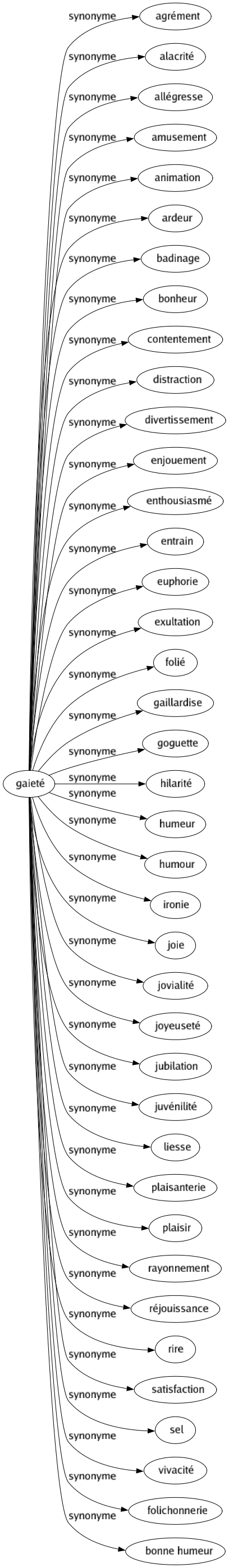 Synonyme de Gaieté : Agrément Alacrité Allégresse Amusement Animation Ardeur Badinage Bonheur Contentement Distraction Divertissement Enjouement Enthousiasmé Entrain Euphorie Exultation Folié Gaillardise Goguette Hilarité Humeur Humour Ironie Joie Jovialité Joyeuseté Jubilation Juvénilité Liesse Plaisanterie Plaisir Rayonnement Réjouissance Rire Satisfaction Sel Vivacité Folichonnerie Bonne humeur 