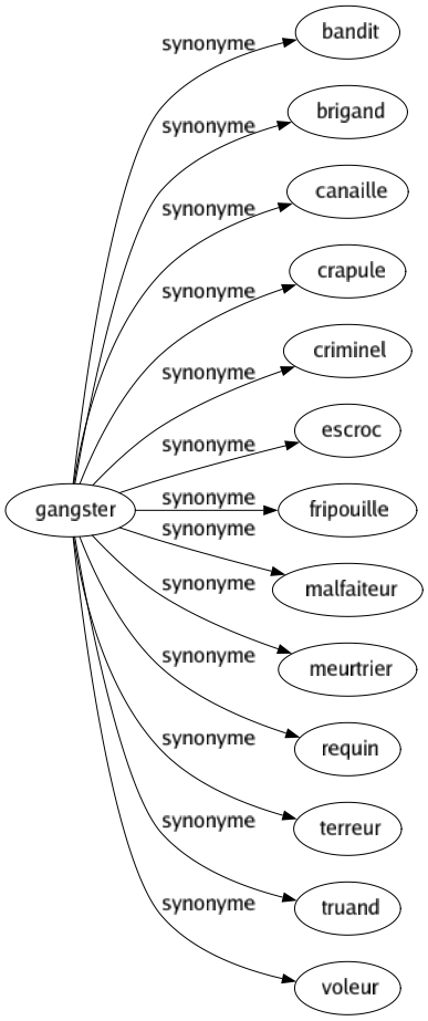 Synonyme de Gangster : Bandit Brigand Canaille Crapule Criminel Escroc Fripouille Malfaiteur Meurtrier Requin Terreur Truand Voleur 