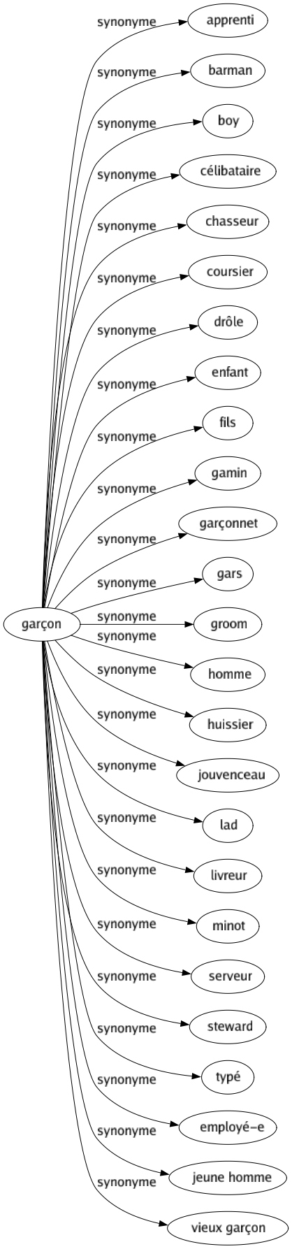 Synonyme de Garçon : Apprenti Barman Boy Célibataire Chasseur Coursier Drôle Enfant Fils Gamin Garçonnet Gars Groom Homme Huissier Jouvenceau Lad Livreur Minot Serveur Steward Typé Employé-e Jeune homme Vieux garçon 