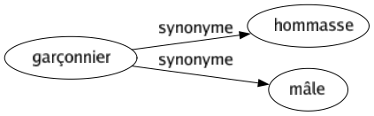 Synonyme de Garçonnier : Hommasse Mâle 