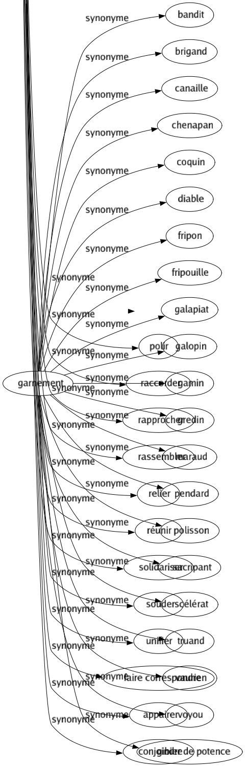 Synonyme de Garnement : Bandit Brigand Canaille Chenapan Coquin Diable Fripon Fripouille Galapiat Galopin Gamin Gredin Maraud Pendard Polisson Sacripant Scélérat Truand Vaurien Voyou Gibier de potence 