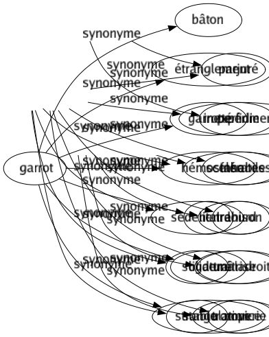 Synonyme de Garrot : Bâton Étranglement Garrotté Hémostase Lien Ligaturé Strangulation 