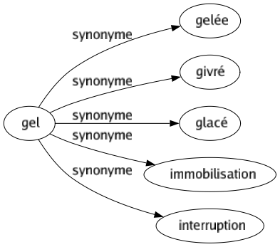 Synonyme de Gel : Gelée Givré Glacé Immobilisation Interruption 