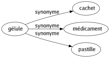 Synonyme de Gélule : Cachet Médicament Pastille 