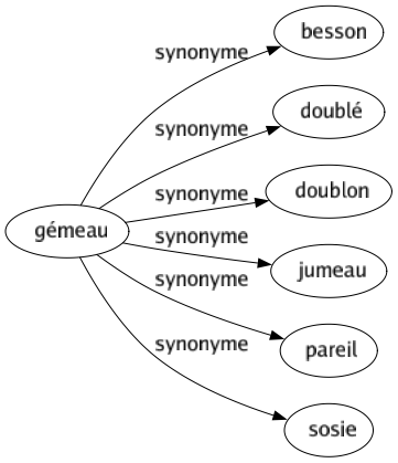 Synonyme de Gémeau : Besson Doublé Doublon Jumeau Pareil Sosie 