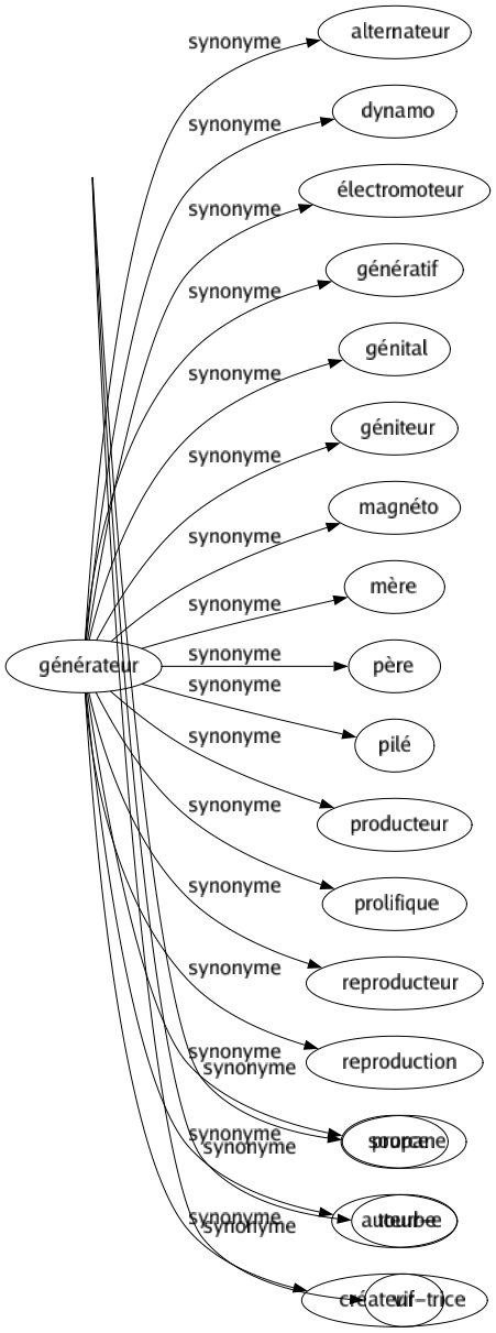 Synonyme de Générateur : Alternateur Dynamo Électromoteur Génératif Génital Géniteur Magnéto Mère Père Pilé Producteur Prolifique Reproducteur Reproduction Source Auteur-e Créateur-trice 