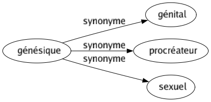 Synonyme de Génésique : Génital Procréateur Sexuel 