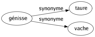 Synonyme de Génisse : Taure Vache 