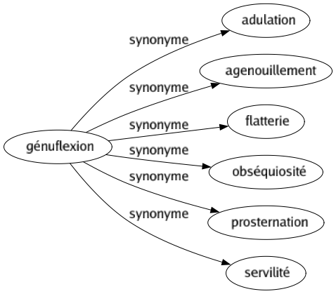 Synonyme de Génuflexion : Adulation Agenouillement Flatterie Obséquiosité Prosternation Servilité 