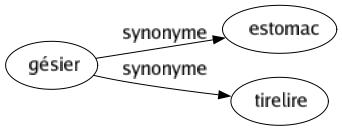 Synonyme de Gésier : Estomac Tirelire 