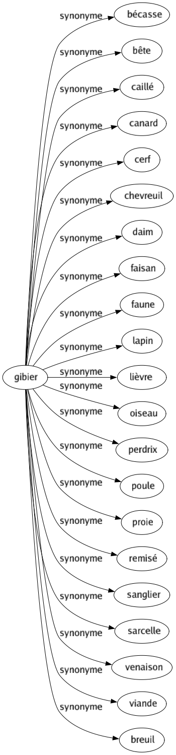 Synonyme de Gibier : Bécasse Bête Caillé Canard Cerf Chevreuil Daim Faisan Faune Lapin Lièvre Oiseau Perdrix Poule Proie Remisé Sanglier Sarcelle Venaison Viande Breuil 