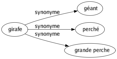 Synonyme de Girafe : Géant Perché Grande perche 