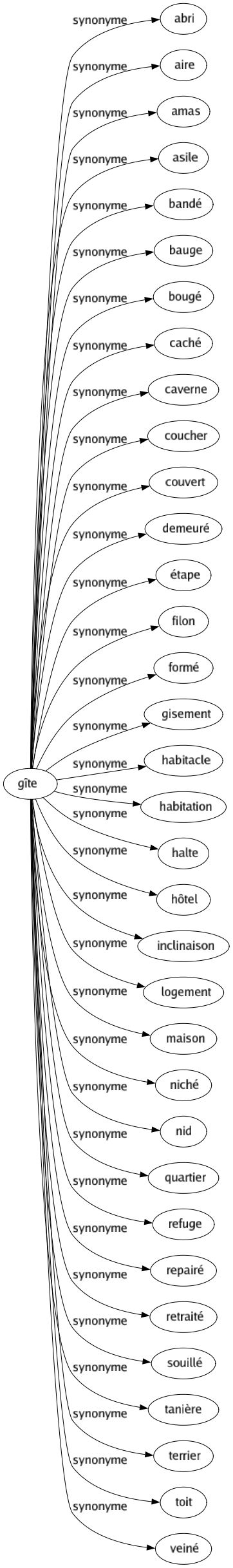 Synonyme de Gîte : Abri Aire Amas Asile Bandé Bauge Bougé Caché Caverne Coucher Couvert Demeuré Étape Filon Formé Gisement Habitacle Habitation Halte Hôtel Inclinaison Logement Maison Niché Nid Quartier Refuge Repairé Retraité Souillé Tanière Terrier Toit Veiné 