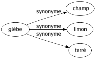 Synonyme de Glèbe : Champ Limon Terré 