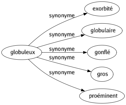 Synonyme de Globuleux : Exorbité Globulaire Gonflé Gros Proéminent 